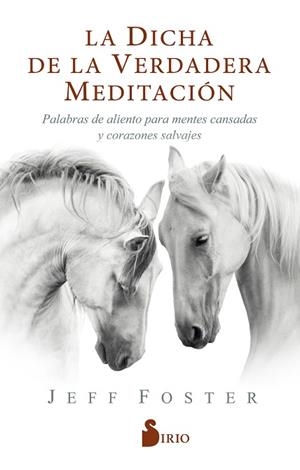 DICHA DE LA VERDADERA MEDITACIÓN, LA | 9788418000522 | FOSTER, JEFF | Llibreria Huch - Llibreria online de Berga 