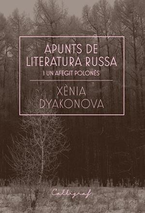 APUNTS DE LITERATURA RUSSA I UN AFEGIT POLONÈS | 9788412212358 | DYAKONOVA, XÈNIA | Llibreria Huch - Llibreria online de Berga 