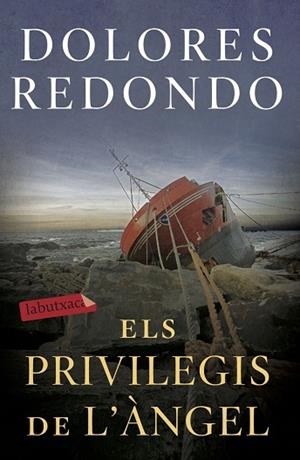 PRIVILEGIS DE L'ÀNGEL, ELS | 9788417423971 | REDONDO, DOLORES | Llibreria Huch - Llibreria online de Berga 