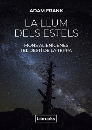 LLUM DELS ESTELS, LA | 9788412274585 | FRANK, ADAM | Llibreria Huch - Llibreria online de Berga 