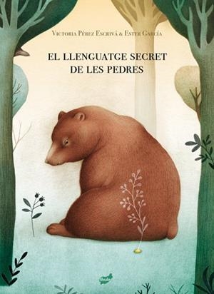 LLENGUATGE SECRET DE LES PEDRES, EL | 9788418702013 | PEREZ ESCRIVÁ, VICTORIA | Llibreria Huch - Llibreria online de Berga 