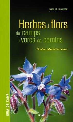 HERBES I FLORS DE CAMPS I VORES DE CAMINS | 9788418096082 | PANAREDA CLOPÉS, JOSEP M | Llibreria Huch - Llibreria online de Berga 