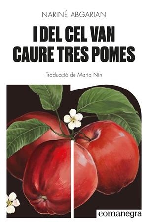 I DEL CEL VAN CAURE TRES POMES | 9788418857041 | ABGARIAN, NARINÉ | Llibreria Huch - Llibreria online de Berga 