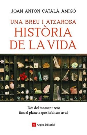 BREU I ATZAROSA HISTÒRIA DE LA VIDA, UNA | 9788418197956 | CATALÀ AMIGÓ, JOAN ANTON | Llibreria Huch - Llibreria online de Berga 