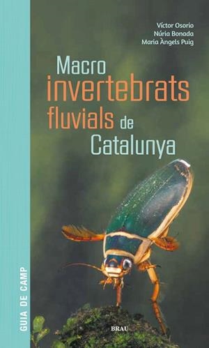 MACROINVERTEBRATS FLUVIALS DE CATALUNYA | 9788418096204 | OSORIO ÁLVAREZ, VÍCTOR/PUIG GARCÍA, M. ÁNGELES/BONADA CAPARRÓS, NÚRIA | Llibreria Huch - Llibreria online de Berga 