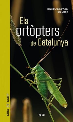 ORTOPTERS DE CATALUNYA,ELS | 9788418096266 | OLMO VIDAL, JOSEP M/LUQUE PINO, PERE | Llibreria Huch - Llibreria online de Berga 