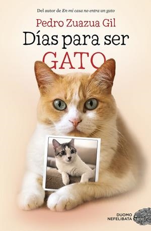 DIAS PARA SER GATO | 9788417128524 | ZUAZUA GIL, PEDRO | Llibreria Huch - Llibreria online de Berga 