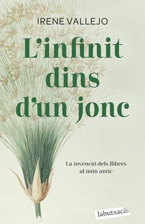 INFINIT DINS D'UN JONC, L' | 9788419107121 | VALLEJO, IRENE | Llibreria Huch - Llibreria online de Berga 