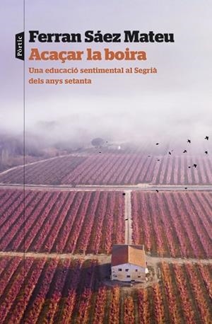 ACAÇAR LA BOIRA | 9788498095203 | SAEZ MATEU, FERRAN | Llibreria Huch - Llibreria online de Berga 