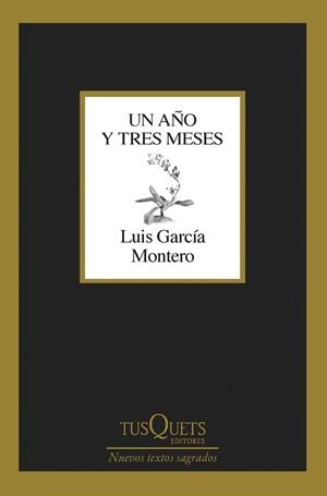 UN AÑO Y TRES MESES | 9788411071475 | GARCÍA MONTERO, LUIS | Llibreria Huch - Llibreria online de Berga 