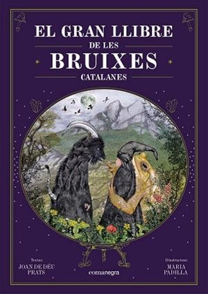 GRAN LLIBRE DE LES BRUIXES CATALANES, EL | 9788418857751 | PRATS, JOAN DE DÉU/PADILLA CLIMENT, MARIA | Llibreria Huch - Llibreria online de Berga 