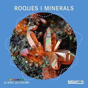 ROQUES I MINERALS | 9788448941390 | BALDÓ, ESTEL/GIL, ROSA/SOLIVA, MARIA | Llibreria Huch - Llibreria online de Berga 