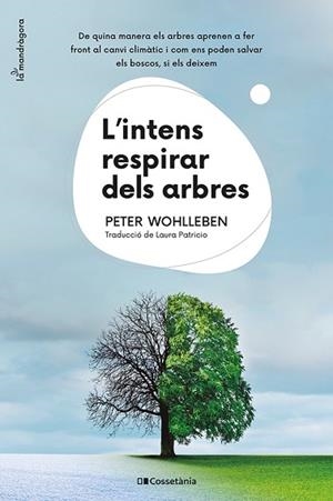 INTENS RESPIRAR DELS ARBRES, L' | 9788413562087 | WOHLLEBEN, PETER | Llibreria Huch - Llibreria online de Berga 