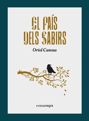 PAÍS DELS SABIRS, EL | 9788418857799 | CANOSA, ORIOL | Llibreria Huch - Llibreria online de Berga 