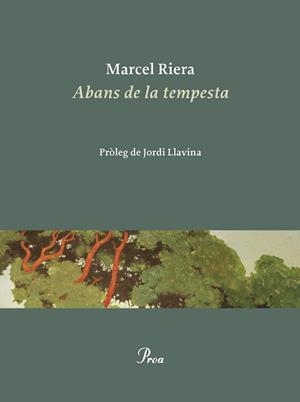 ABANS DE LA TEMPESTA | 9788475889900 | RIERA BOU, MARCEL | Llibreria Huch - Llibreria online de Berga 