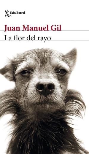 FLOR DEL RAYO, LA | 9788432241574 | GIL, JUAN MANUEL | Llibreria Huch - Llibreria online de Berga 