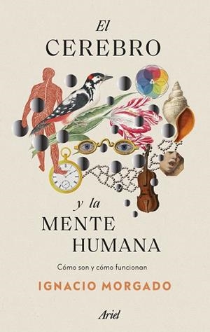 CEREBRO Y LA MENTE HUMANA, EL | 9788434435988 | MORGADO, IGNACIO | Llibreria Huch - Llibreria online de Berga 