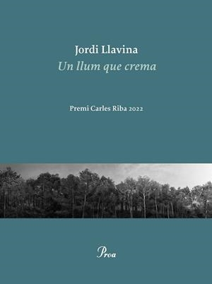 UN LLUM QUE CREMA | 9788475889979 | LLAVINA, JORDI | Llibreria Huch - Llibreria online de Berga 