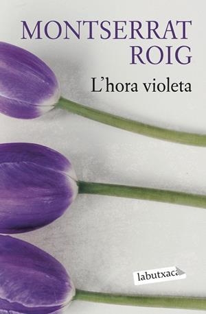 HORA VIOLETA, L' | 9788419107503 | ROIG, MONTSERRAT | Llibreria Huch - Llibreria online de Berga 