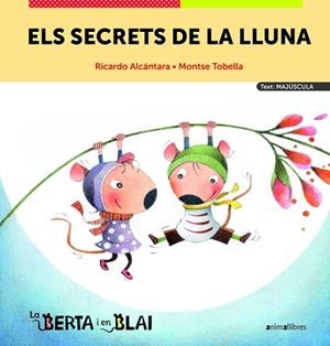 SECRETS DE LA LLUNA, ELS    MAJUSCULA | 9788419659187 | RICARDO ALCÁNTARA | Llibreria Huch - Llibreria online de Berga 