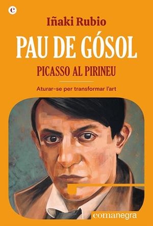 PAU DE GÓSOL. PICASSO AL PIRINEU | 9788419590404 | RUBIO, IÑAKI | Llibreria Huch - Llibreria online de Berga 