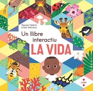 VIDA. UN LLIBRE INTERACTIU, LA | 9788466154864 | HÉDELIN, PASCALE | Llibreria Huch - Llibreria online de Berga 