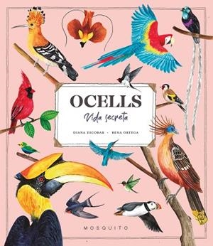 OCELLS. VIDA SECRETA | 9788419095534 | ESTEBAN, DIANA | Llibreria Huch - Llibreria online de Berga 