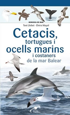 CETACIS, TORTUGUES I OCELLS MARINS I COSTANERS DE LA MAR BALEAR | 9788413562735 | MAYOL, ELVIRA | Llibreria Huch - Llibreria online de Berga 