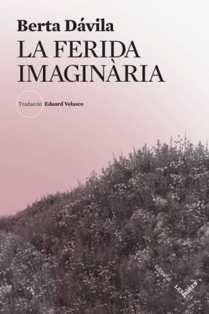 FERIDA IMAGINÀRIA, LA | 9788412639483 | DAVILA, BERTA | Llibreria Huch - Llibreria online de Berga 