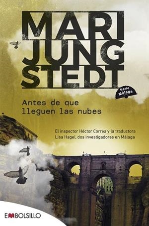 ANTES DE QUE LLEGUEN LAS NUBES | 9788418185632 | JUNGSTEDT, MARI | Llibreria Huch - Llibreria online de Berga 