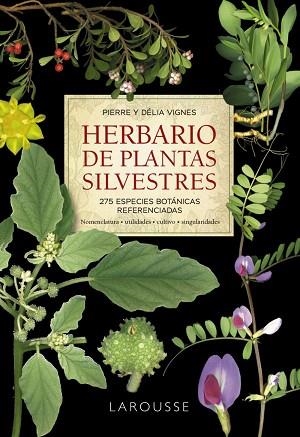 HERBARIO DE PLANTAS SILVESTRES | 9788418473999 | VIGNES, PIERRE/VIGNES, DÉLIA | Llibreria Huch - Llibreria online de Berga 