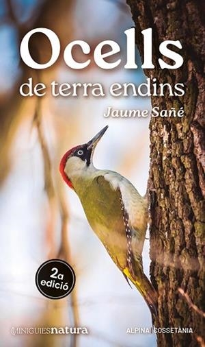 OCELLS DE TERRA ENDINS | 9788413563725 | SAÑÉ, JAUME | Llibreria Huch - Llibreria online de Berga 