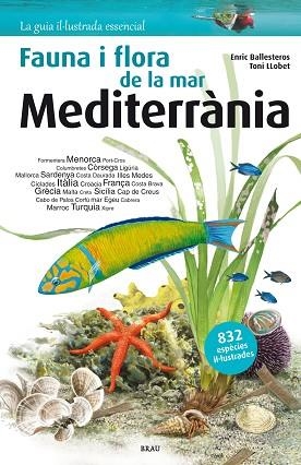 FAUNA I FLORA DE LA MAR MEDITERRÀNIA | 9788415885979 | BALLESTEROS SAGARRA, ENRIC | Llibreria Huch - Llibreria online de Berga 