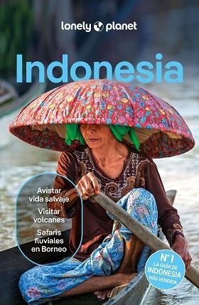 INDONESIA 6 | 9788408291190 | D'ARCY, JAYNE/EIMER, DAVID/HARDING, PAUL/JOHANSON, MARK/LEE, JASON/ST.LOUIS, REGIS/BERKMOES, RYAN VE | Llibreria Huch - Llibreria online de Berga 