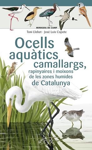 OCELLS AQUÀTICS CAMALLARGS, RAPINYAIRES I MOIXONS DE LES ZONES HUMIDES DE CATALU | 9788413564746 | COPETE, JOSÉ LUIS | Llibreria Huch - Llibreria online de Berga 
