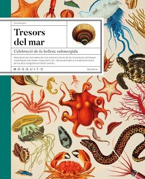 TRESORS DEL MAR | 9788419095756 | MARGARIT, NÚRIA | Llibreria Huch - Llibreria online de Berga 