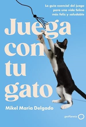 JUEGA CON TU GATO | 9788408300861 | DELGADO, MIKEL MARIA | Llibreria Huch - Llibreria online de Berga 