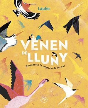 VENEN DE LLUNY | 9788482897349 | LAUFER (LAURA FERNÁNDEZ ARQUISOLA) | Llibreria Huch - Llibreria online de Berga 