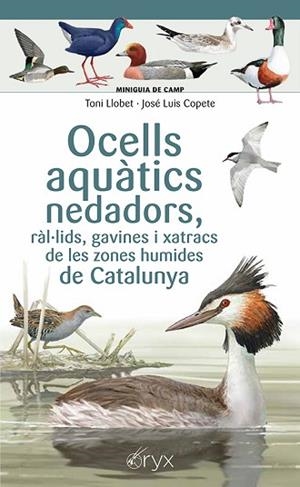 OCELLS AQUÀTICS NEDADORS, RÀL·LIDS, GAVINES I XATRACS DE LES ZONES HUMIDES DE CA | 9788413564883 | COPETE, JOSÉ LUIS | Llibreria Huch - Llibreria online de Berga 