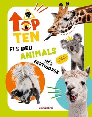 TOP TEN ELS DEU ANIMALS MÉS FASTIGOSOS | 9788410302273 | CRISTINA BANFI | Llibreria Huch - Llibreria online de Berga 