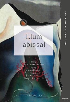 LLUM ABISSAL | 9791387728021 | PANYELLA, VINYET | Llibreria Huch - Llibreria online de Berga 