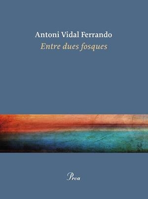 ENTRE DUES FOSQUES | 9788410488434 | VIDAL FERRANDO, ANTONI | Llibreria Huch - Llibreria online de Berga 