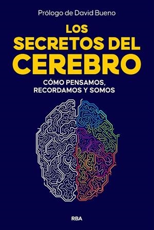 LOS SECRETOS DEL CEREBRO | 9788410981249 | Llibreria Huch - Llibreria online de Berga 