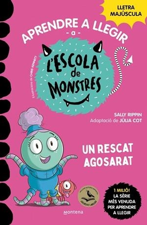 APRENDRE A LLEGIR A L'ESCOLA DE MONSTRES 22 - UN RESCAT AGOSARAT | 9788410396005 | RIPPIN, SALLY | Llibreria Huch - Llibreria online de Berga 