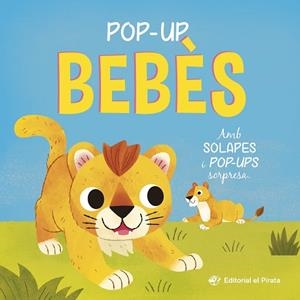 POP-UP BEBÈS - CONTE AMB SOLAPES I POP-UPS SORPRESA! | 9788419912527 | BLAKE, CARLY | Llibreria Huch - Llibreria online de Berga 