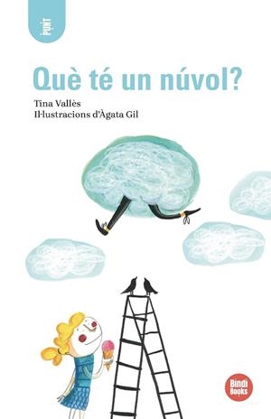 QUÈ TÉ UN NÚVOL? | 9791387594152 | VALLÈS, TINA | Llibreria Huch - Llibreria online de Berga 