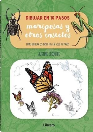 DIBUJAR MARIPOSAS Y OTROS INSECTOS EN 10 PASOS | 9789464991574 | LECOUFFE, JUSTINE | Llibreria Huch - Llibreria online de Berga 
