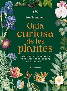 GUIA CURIOSA DE LES PLANTES | 9788413565354 | TRENEMAN, ANN | Llibreria Huch - Llibreria online de Berga 