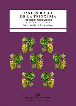 HEREU NORADELL, L' | 9788416726615 | BOSCH DE LA TRINXERIA, CARLES | Llibreria Huch - Llibreria online de Berga 