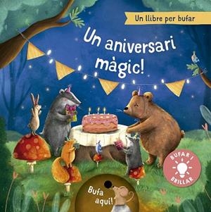 ANIVERSARI MÀGIC, UN | 9788491459095 | HÖCK, MARIA | Llibreria Huch - Llibreria online de Berga 